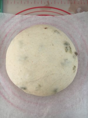 软欧包的做法 步骤4