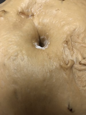 红糖大枣核桃吐司的做法 步骤4