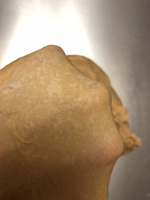 红糖大枣核桃吐司的做法 步骤2