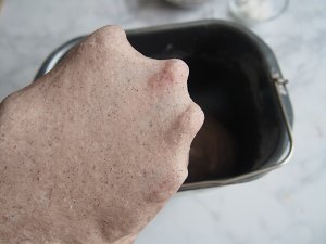黑麦红枣核桃卷的做法 步骤5