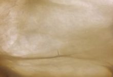 烤箱如何烤面包?怎样用烤箱烤出松软适宜的面包?-烤德香博客