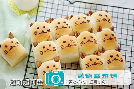 超萌超可爱 “网红”挤挤小面包