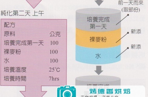 天然酵母纯化与培养之烘焙计算