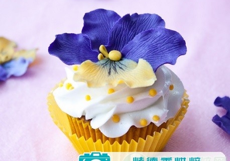 如何制作干佩斯蝴蝶花