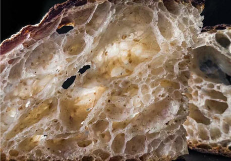 酵母无氧发酵与有氧发酵作用的解析