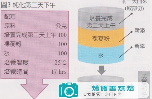 天然酵母纯化与培养之烘焙计算