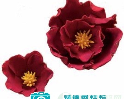 如何制作翻糖梦幻鲜花