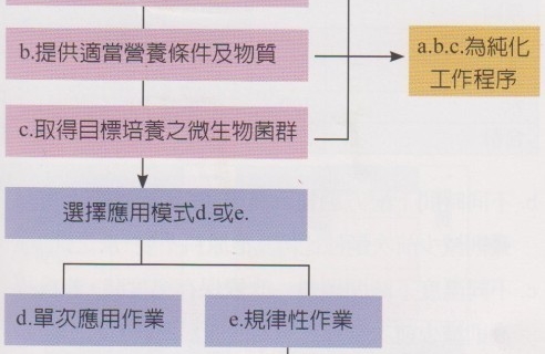 天然酵母纯化与培养之烘焙计算