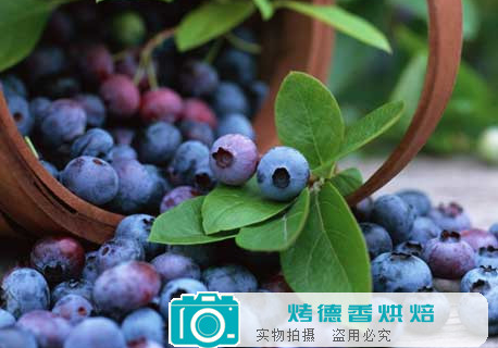 蓝莓蛋糕的生产及质量保障措施