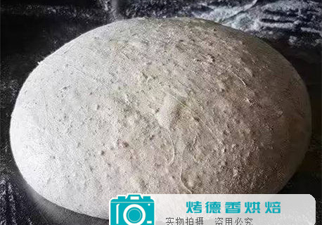 酵母无氧发酵与有氧发酵作用的解析