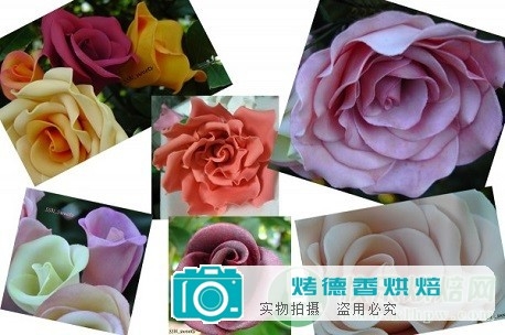 如何制作干佩斯或翻糖彩虹玫瑰