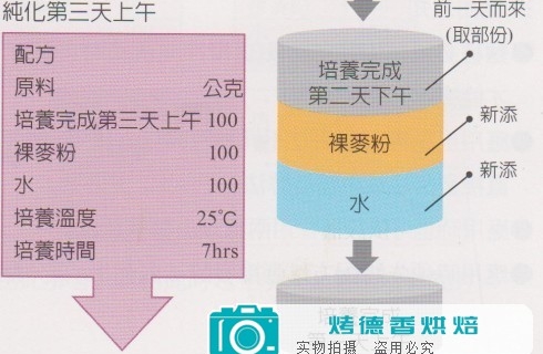 天然酵母纯化与培养之烘焙计算