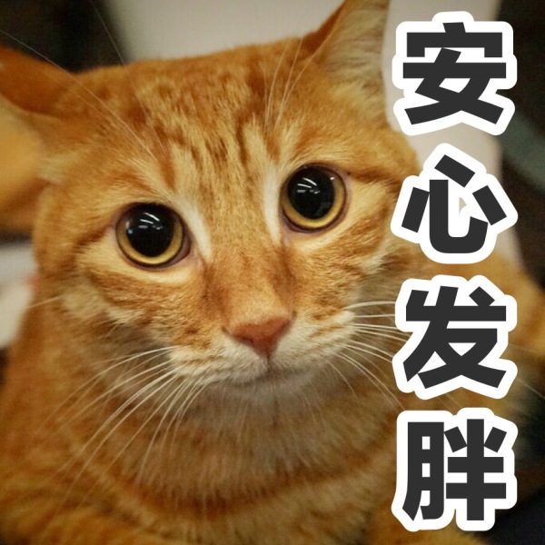 那些年让你“气疯”的戚风蛋糕失败问题解答