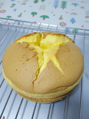 海氏C45电烤箱这烤箱有谁用过？不知道评价如何？看看购买过的人怎么说？