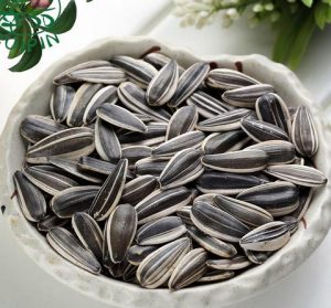 为什么要买电烤箱?电烤箱的用途有哪些?