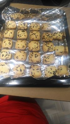 长帝烤箱哪个型号好?长帝crdf32a电烤箱挺适合你的!