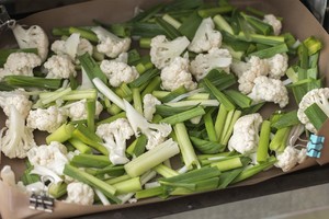 烤箱快手生酮餐