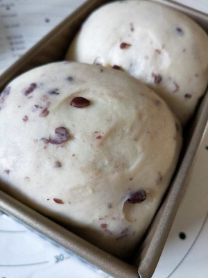 直接法双峰超软土司