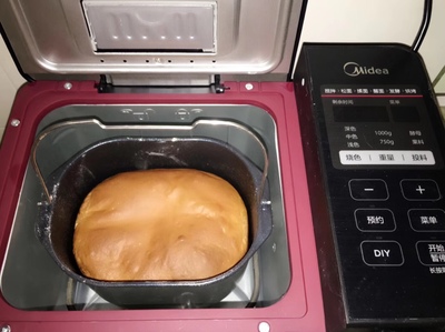 Midea/美的MM-TLS2010多功能面包机值得买吗？看评价就知道这款怎么样？