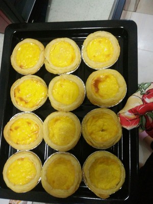 Goluxury/高乐士GT25R-01家用电烤箱好不好用呢？看评论如何？