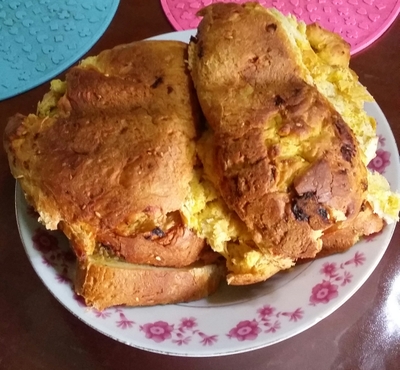 东菱面包机哪个型号好？Donlim/东菱DL-T09G面包机值得买吗？【评价！】