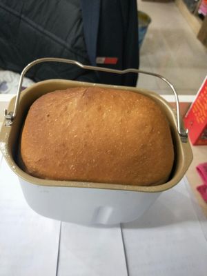 Petrus/柏翠PE6998面包机值不值得买？低廉价格看评价就清楚！