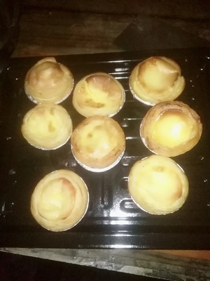 Goluxury/高乐士GT25R-01家用电烤箱怎么样？值不值得买呢？看评价！