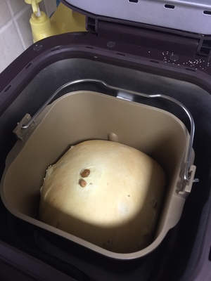 Petrus/柏翠PE9800面包机好用吗？【看看使用者的评测】看看评测就清楚！