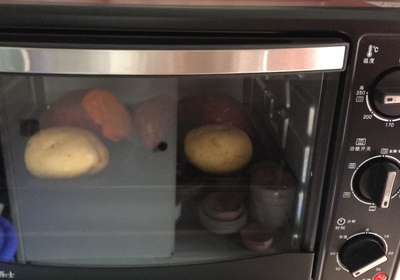 Goluxury/高乐士GT25R-01家用电烤箱好不好用呢？看评论如何？