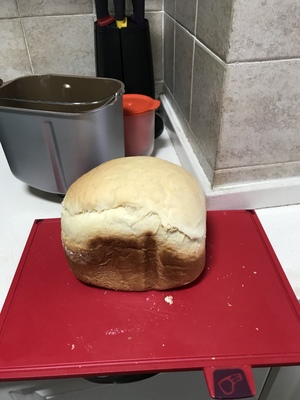 东菱面包机哪个型号好?Donlim/东菱BM1352AE-3C面包机好用吗?值不值得买呢?