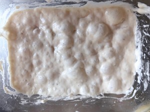 波兰酵头北海道吐司制作方法