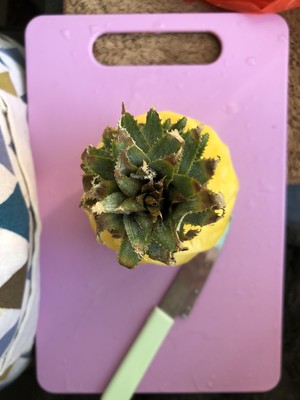 台湾土凤梨酥~酥到掉渣制作方法