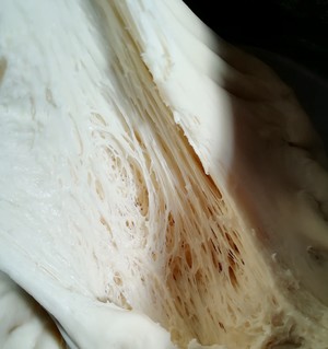 黑骑士面包(法芙娜可可粉)制作方法