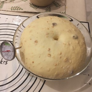 水果穀物软欧面包制作方法