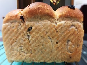 波兰酵头北海道吐司制作方法