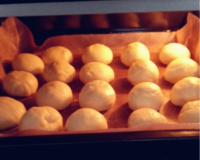 蜂蜜小餐包(一发短平快)制作方法