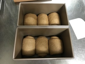 100%纯全麦吐司 制作方法