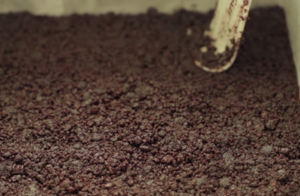 蓝莓柠檬芝士蛋糕 制作方法