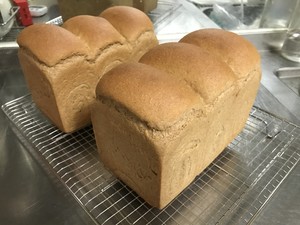 100%纯全麦吐司 制作方法