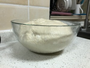 无油无糖全麦免揉吐司 制作方法