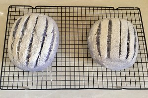 蓝色乡村面包 制作方法