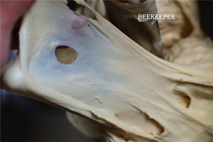 吴宝春的黑糖吐司-风炉菜谱