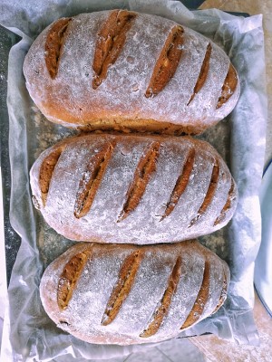 红糖全麦软欧 制作方法