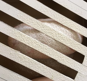 奶油奶酪馅草莓冻干餐包 制作方法