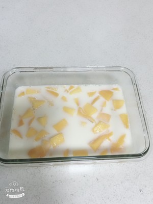 芒果牛奶布丁 制作方法