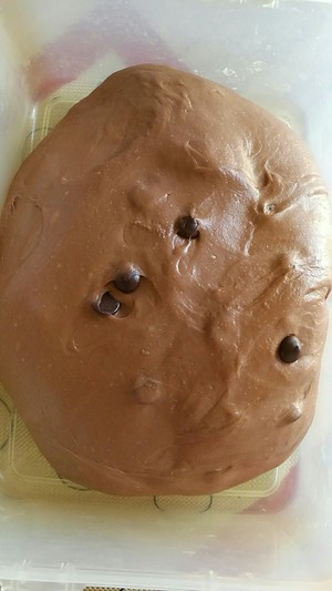 巧克力软欧包 制作方法