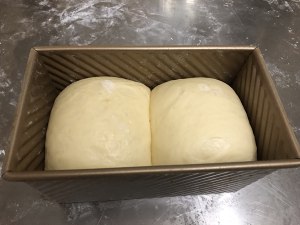 天然酵母北海道吐司记录冷藏发酵  制作方法