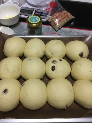 玉米油中种蜂蜜小面包 制作方法