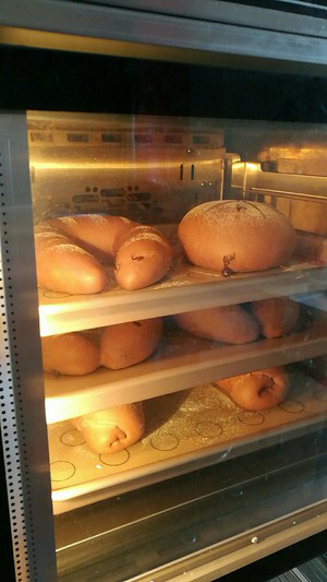 巧克力软欧包 制作方法