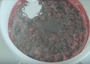 纯素蓝莓芝士蛋糕 制作方法